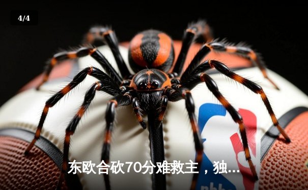 东欧合砍70分难救主，独行侠加时惜败雷霆总比分2-2平 - 4